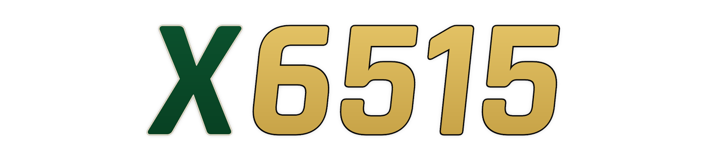 x6515